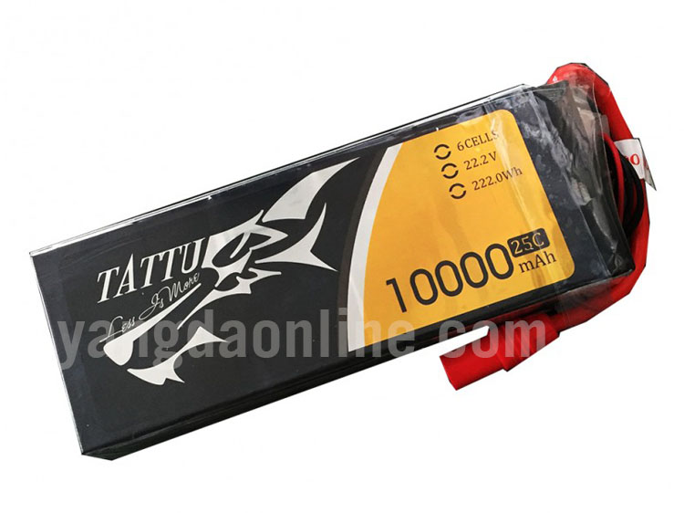 10000mah-6s-25c-as150-2.jpg