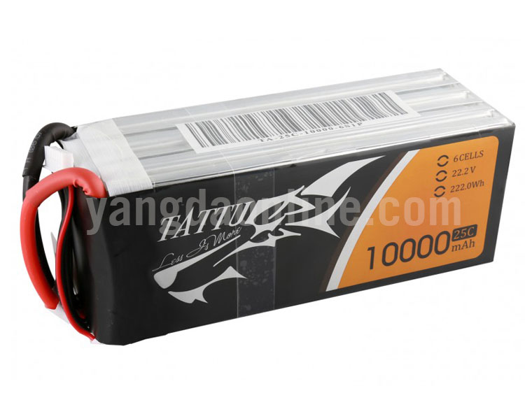 10000mah-6s-25c-as150-3.jpg