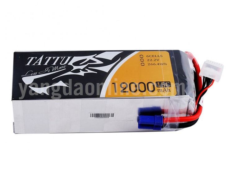 12000mah-6s-15c-ec5-4.jpg