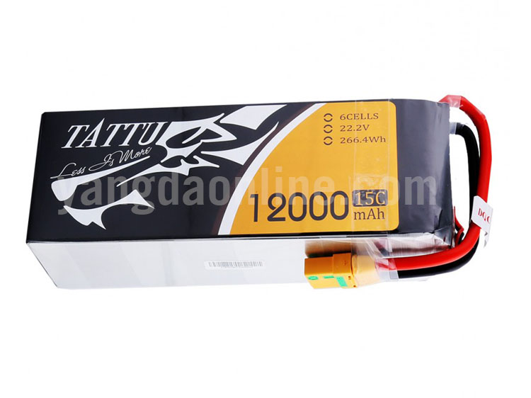 12000mah-6s-15c-xt90-3.jpg